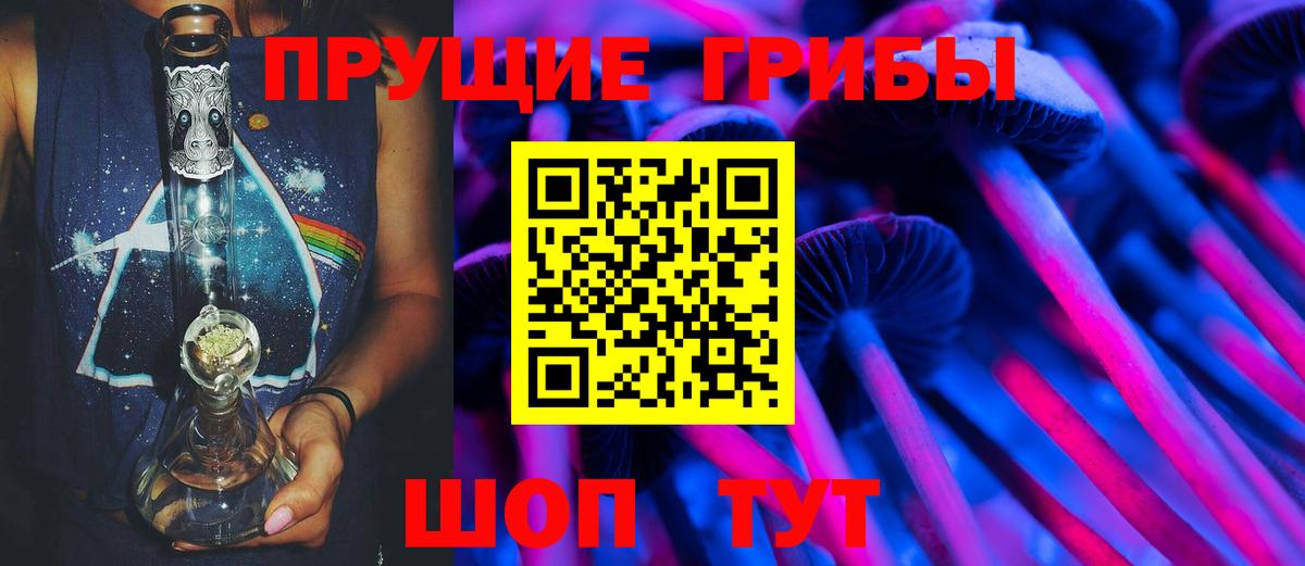 Знаменск  Псилоцибиновые грибы Cubensis  Вход с VPN  Галлюциногенные грибы мухоморы 